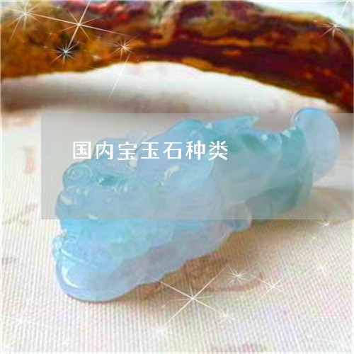国内宝玉石种类/2023040496707 国内宝玉石种类/2023040496707