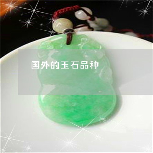 国外的玉石品种/2023040477956 国外的玉石品种/2023040477956