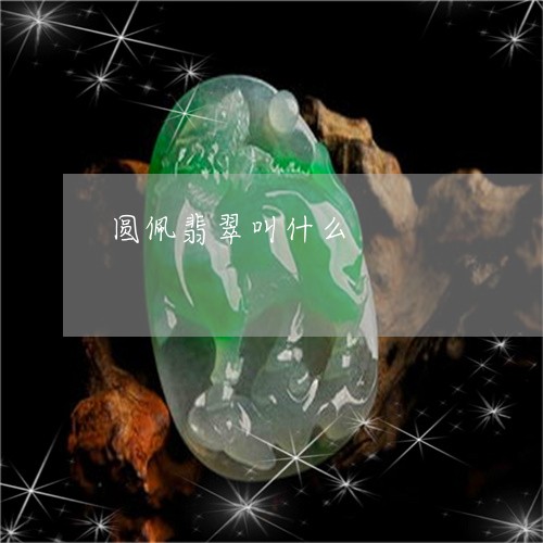 圆佩翡翠叫什么/2023040487958 圆佩翡翠叫什么/2023040487958