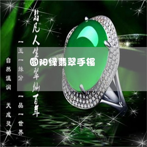 圆阳绿翡翠手镯/2023040482916 圆阳绿翡翠手镯/2023040482916