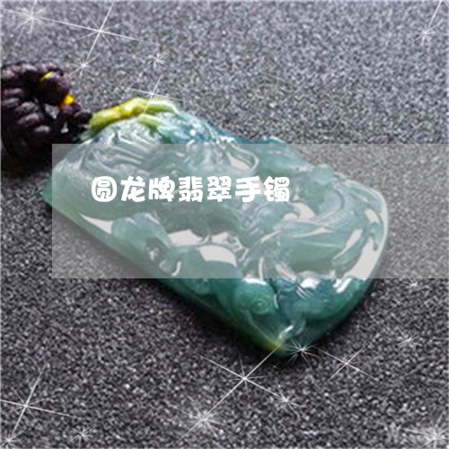 圆龙牌翡翠手镯/2023040432692 圆龙牌翡翠手镯/2023040432692