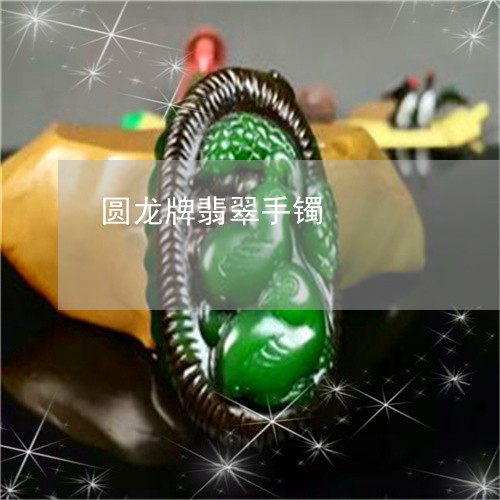 圆龙牌翡翠手镯/2023040451606 圆龙牌翡翠手镯/2023040451606