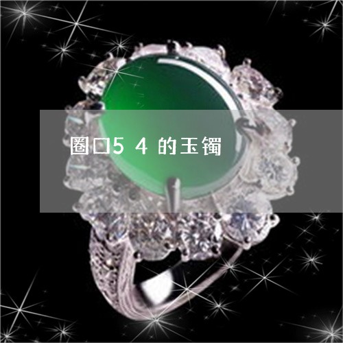圈口54的玉镯/2023040435957 圈口54的玉镯/2023040435957