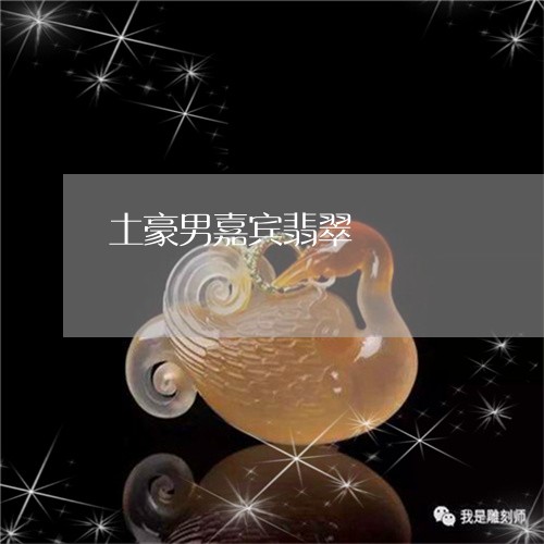 土豪男嘉宾翡翠/2023040453515 土豪男嘉宾翡翠/2023040453515