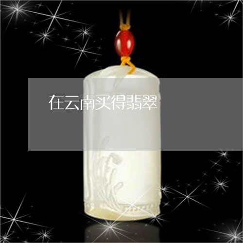 在云南买得翡翠/2023040473681