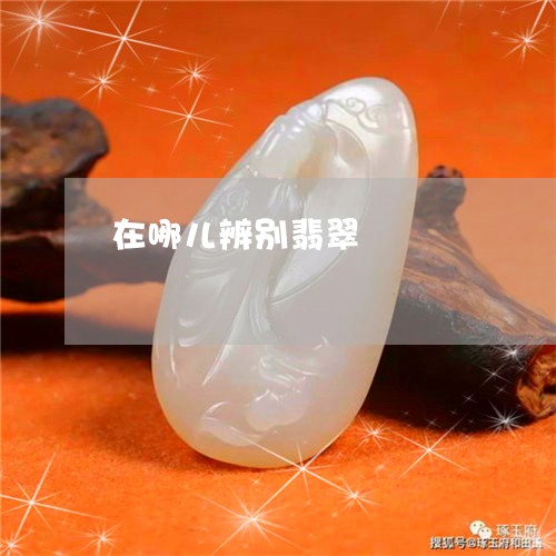 在哪儿辨别翡翠/2023040473703