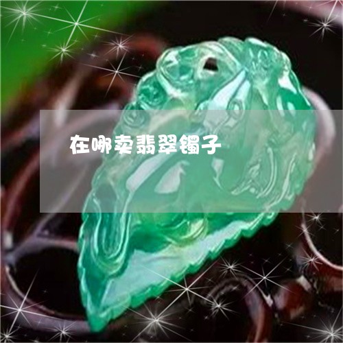 在哪卖翡翠镯子/2023040448260