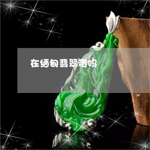 在缅甸翡翠贵吗/2023040461302 在缅甸翡翠贵吗/2023040461302