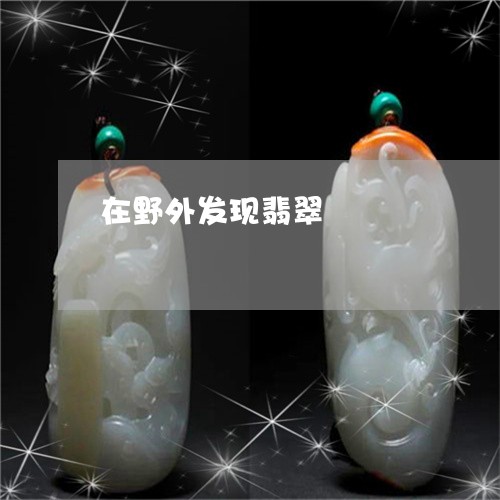 在野外发现翡翠/2023040452695 在野外发现翡翠/2023040452695