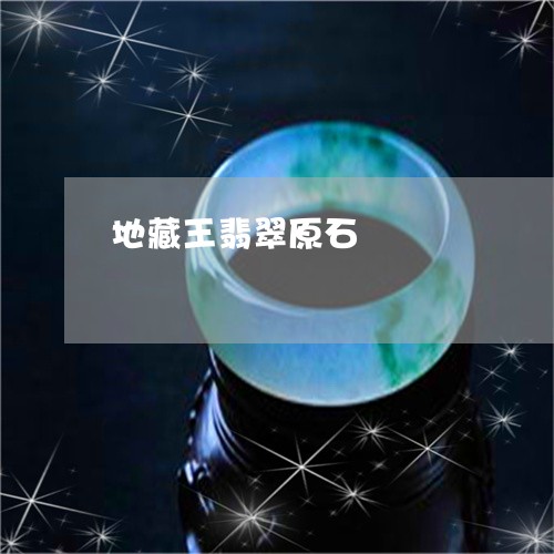 地藏王翡翠原石/2023040485826 地藏王翡翠原石/2023040485826