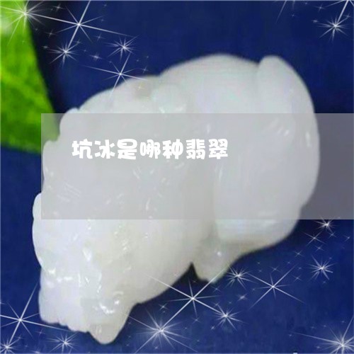 坑冰是哪种翡翠/2023040419382 坑冰是哪种翡翠/2023040419382