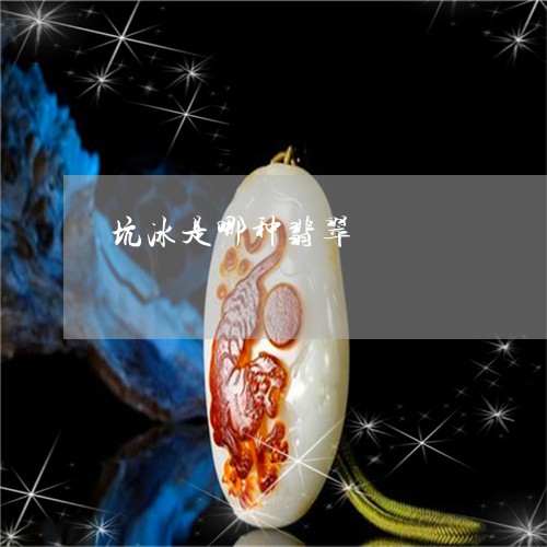 坑冰是哪种翡翠/2023040495958 坑冰是哪种翡翠/2023040495958
