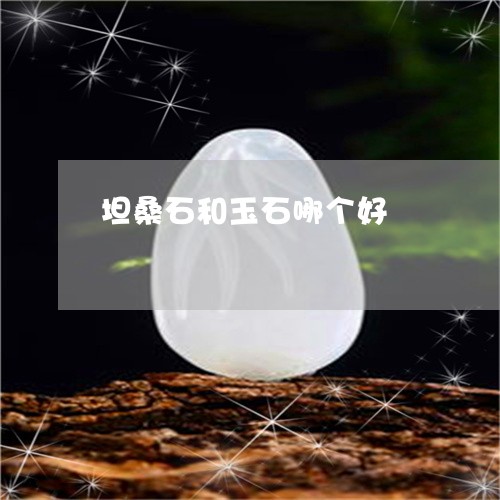 坦桑石和玉石哪个好/2023042194137