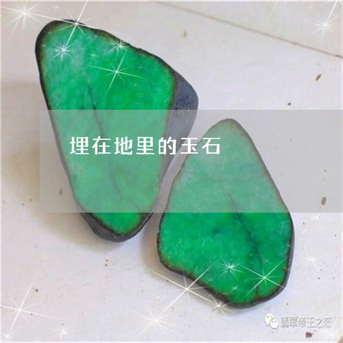 埋在地里的玉石/2023040455049