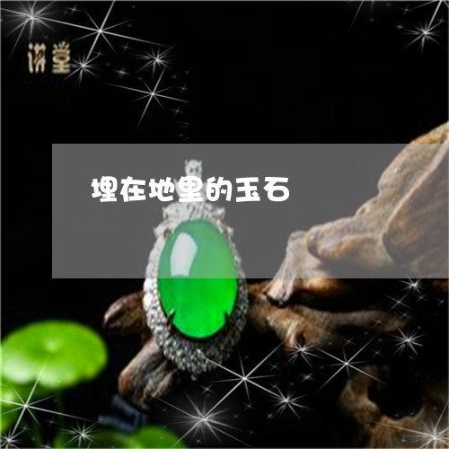 埋在地里的玉石/2023040460614