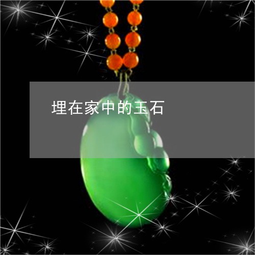 埋在家中的玉石/2023040406289