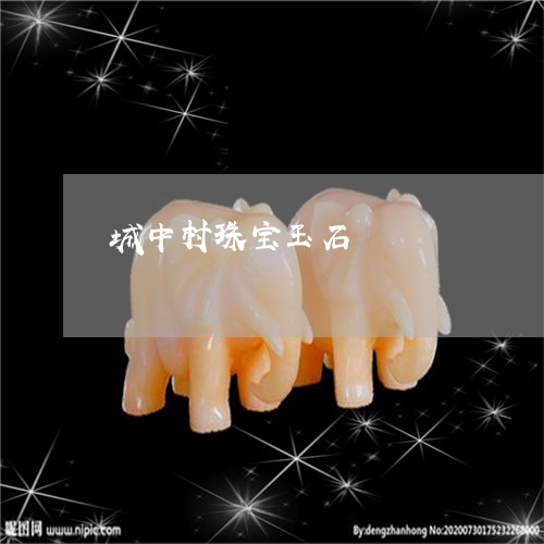 城中村珠宝玉石/2023040460581