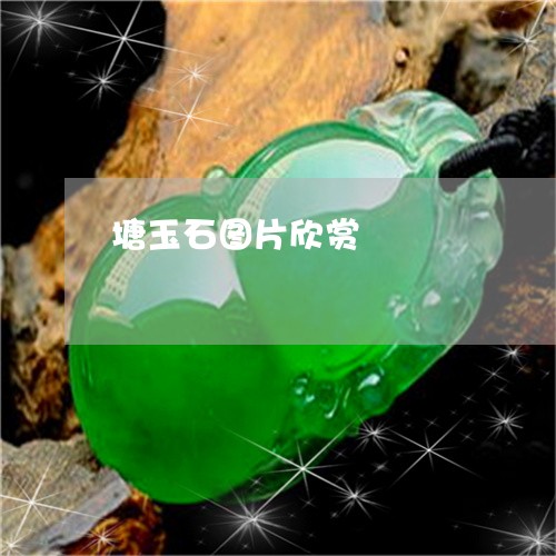 塘玉石图片欣赏/2023040417056 塘玉石图片欣赏/2023040417056