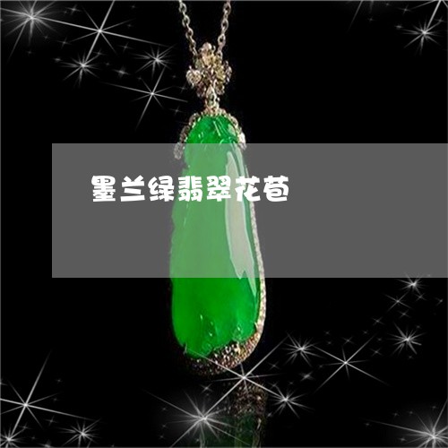 墨兰绿翡翠花苞/2023040498140 墨兰绿翡翠花苞/2023040498140