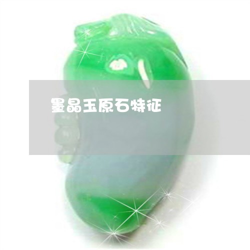 墨晶玉原石特征/2023040407036