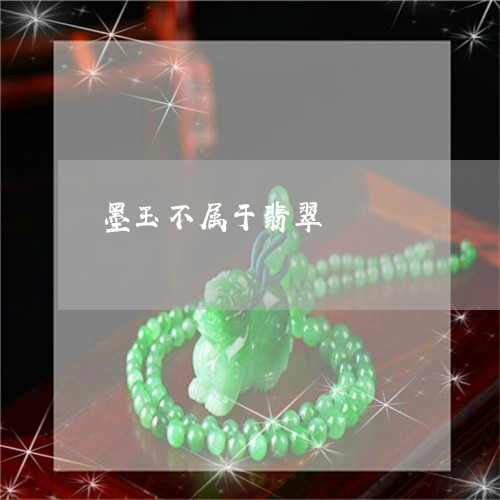 墨玉不属于翡翠/2023040418161 墨玉不属于翡翠/2023040418161