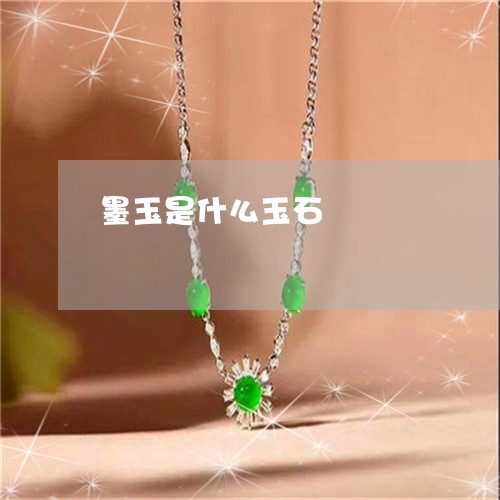 墨玉是什么玉石/2023040427281 墨玉是什么玉石/2023040427281