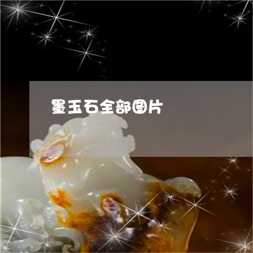 墨玉石全部图片/2023040441482