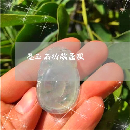 墨玉石功效原理/2023040428159 墨玉石功效原理/2023040428159