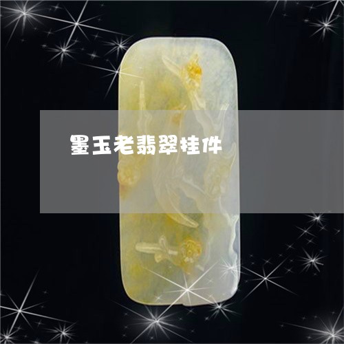 墨玉老翡翠挂件/2023040430695 墨玉老翡翠挂件/2023040430695