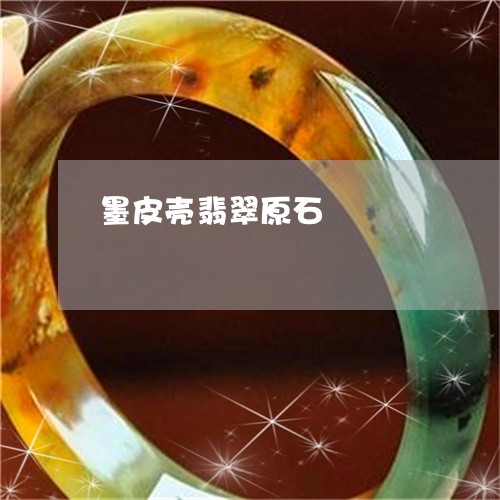 墨皮壳翡翠原石/2023040484948