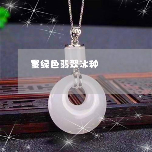 墨绿色翡翠冰种/2023040439170 墨绿色翡翠冰种/2023040439170