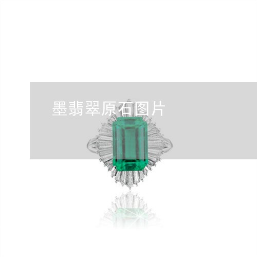 墨翡翠原石图片/2023040439461 墨翡翠原石图片/2023040439461