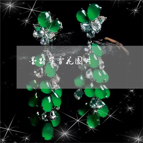 墨翡翠雪花图片/2023040449382