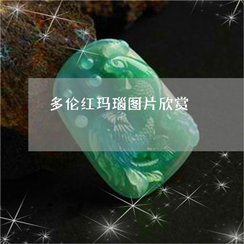 多伦红玛瑙图片欣赏/2023042252571 多伦红玛瑙图片欣赏/2023042252571