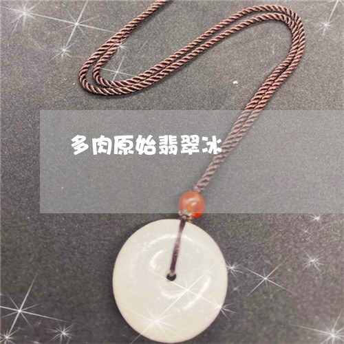 多肉原始翡翠冰/2023040412591 多肉原始翡翠冰/2023040412591