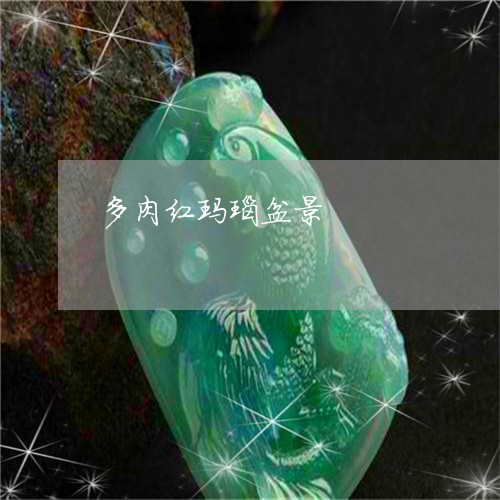 多肉红玛瑙盆景/2023040466068
