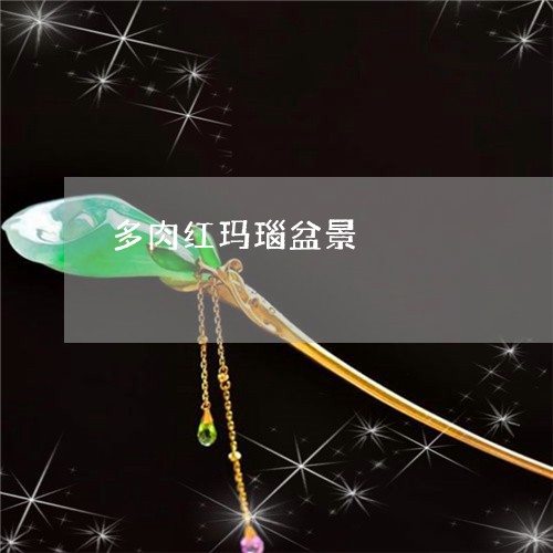 多肉红玛瑙盆景/2023040484937