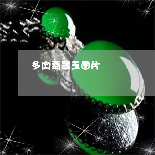 多肉翡翠玉图片/2023040462058