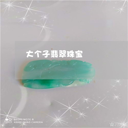 大个子翡翠珠宝/2023040488381
