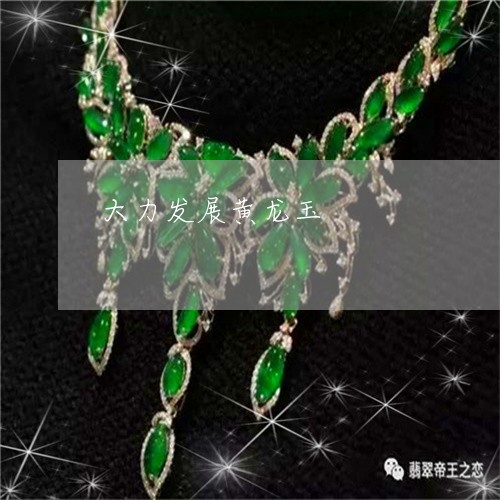 大力发展黄龙玉/2023040472828 大力发展黄龙玉/2023040472828