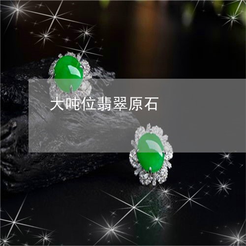 大吨位翡翠原石/2023040482713 大吨位翡翠原石/2023040482713