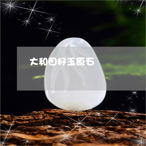 大和田籽玉原石/2023040454037 大和田籽玉原石/2023040454037