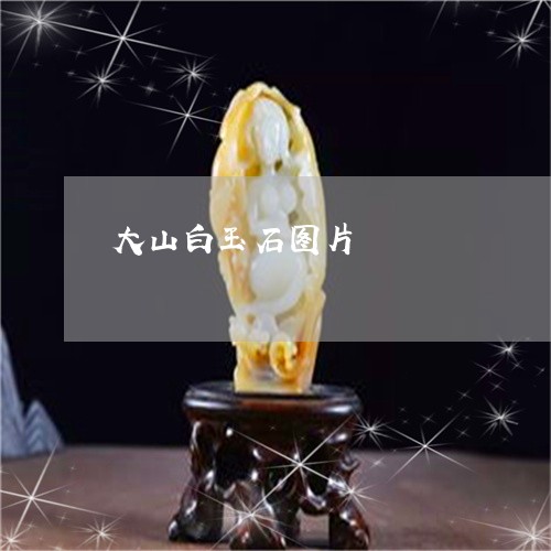 大山白玉石图片/2023040451684 大山白玉石图片/2023040451684