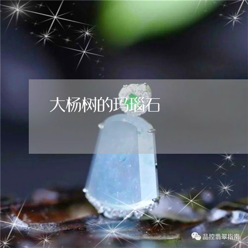 大杨树的玛瑙石/2023040428481 大杨树的玛瑙石/2023040428481