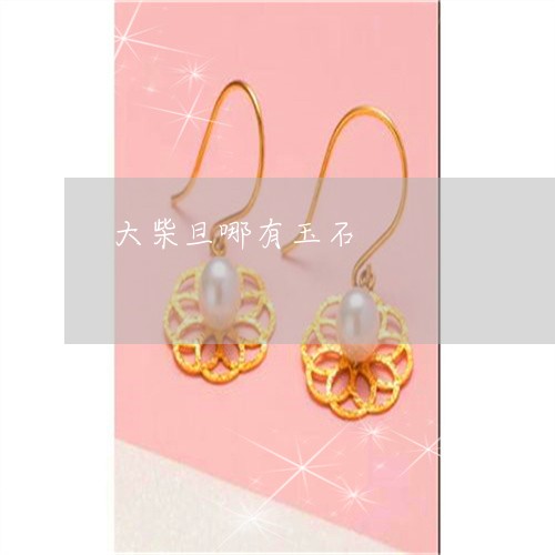 大柴旦哪有玉石/2023040474725