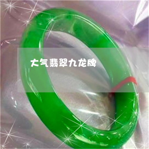 大气翡翠九龙牌/2023040472804 大气翡翠九龙牌/2023040472804