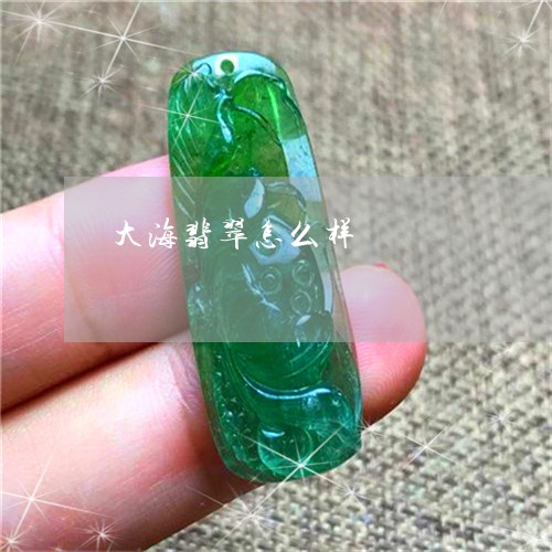 大海翡翠怎么样/2023040473593