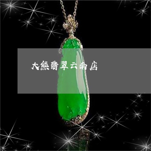 大熊翡翠云南店/2023040484707 大熊翡翠云南店/2023040484707