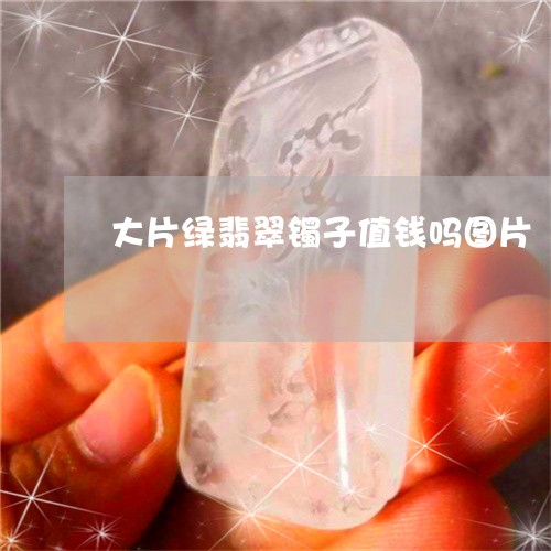 大片绿翡翠镯子值钱吗图片/2023060923814