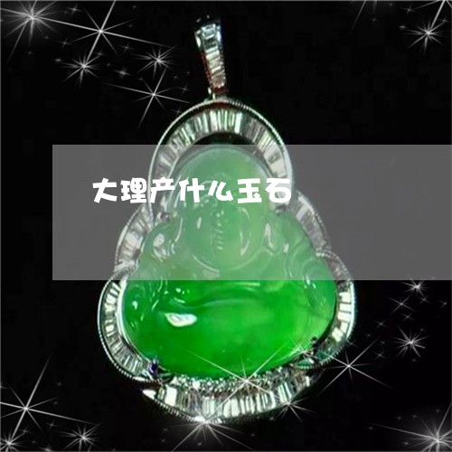 大理产什么玉石/2023040452571